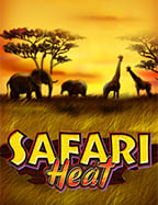 สูตรเกมไพ่ แมงมุม klondike ที่จะทำให้คุณชนะ